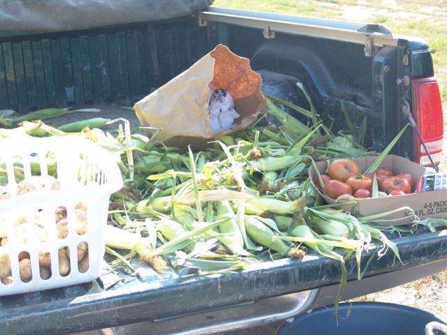 vegetables at farmers market