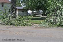 large tree branch down