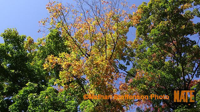DSC02564
